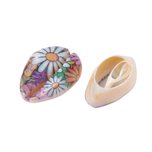 Cowrie Shell Beads, Painted, Daisy Flowers, 20-25mm - BEADED CREATIONS