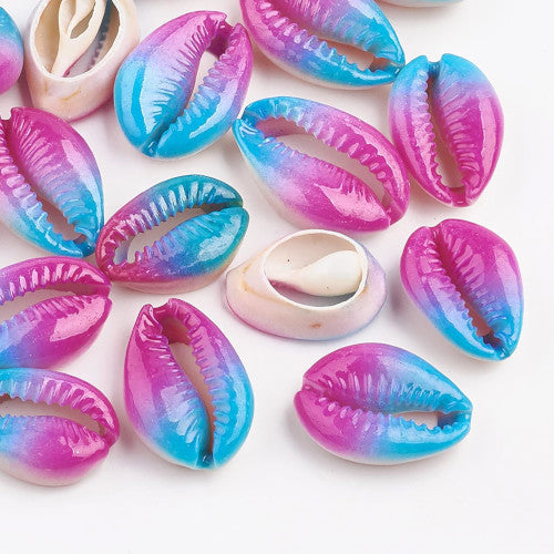 Cowrie Shell Beads, Two-Tone, Deep Pink, Blue, 23mm - BEADED CREATIONS