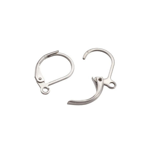 Leverback Earring Findings, Stainless Steel, Oval, Silver, 15.8mm