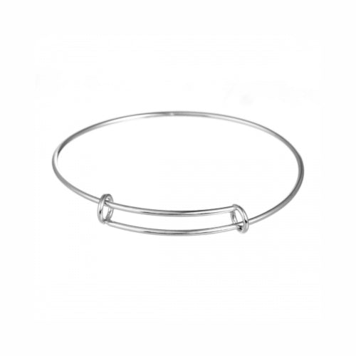 Bangles, 304 Stainless Steel, Adjustable Charm Bangles, Double Bar, Silver Tone, 22-25cm - BEADED CREATIONS