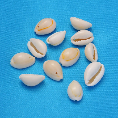 Cowrie Shell Beads, Single-Drilled, Natural, 18-20mm - BEADED CREATIONS