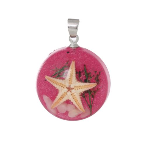 Pendants, Starfish And Shells, Transparent, Fuchsia, Round, Resin, With Bail, 27mm - BEADED CREATIONS