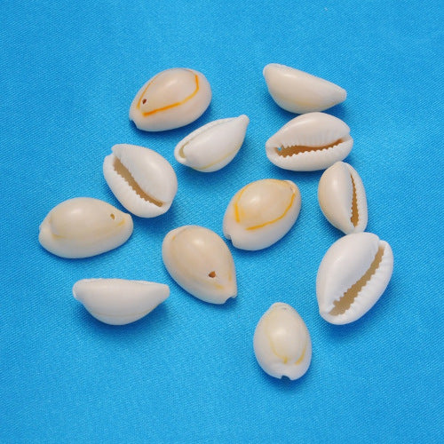 Shell Beads, Natural, Cowrie Shell Beads, Single-Drilled, 16-18mm - BEADED CREATIONS