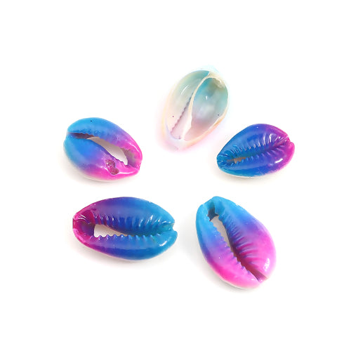 Shell Beads, Natural, Cowrie, Conch Shell, Dyed, Fuchsia And Blue, Ombre, 23mm. Sold Individually - BEADED CREATIONS
